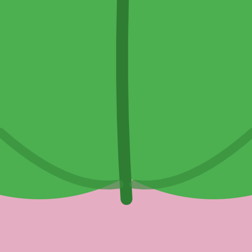 CHEEK logo